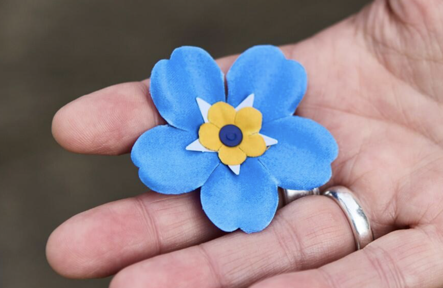 A blue and yellow forget-me-not flower — the symbol of dementia awareness — held in the palm of a hand